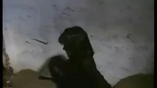 Fajna Baba i chłopiec seks na erotyczne filmy hd świeżym powietrzu, aby skończyć razem