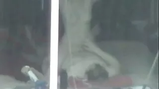 Ciemnowłosa bestie umieścić rękę w GF sex filmy do pobrania za darmo coochie na kanapie