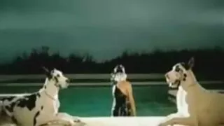 W piękny Anal biały pączek pieprzy ostre seks filmiki Mulat
